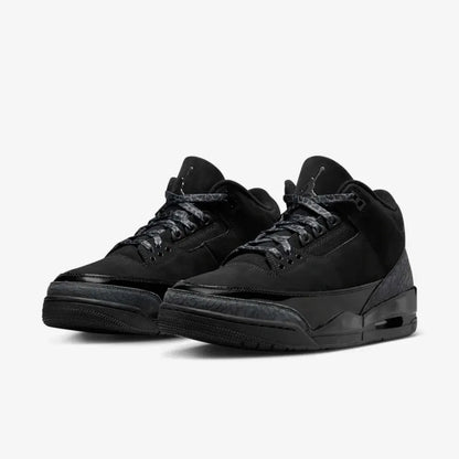 Air Jordan 3 Black Cat