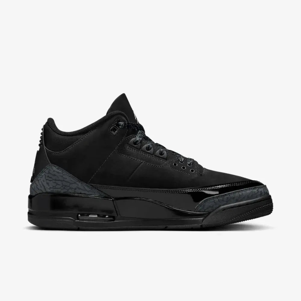 Air Jordan 3 Black Cat